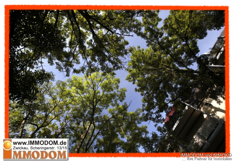 Direkt unter Grünem Himmel im Innenfof